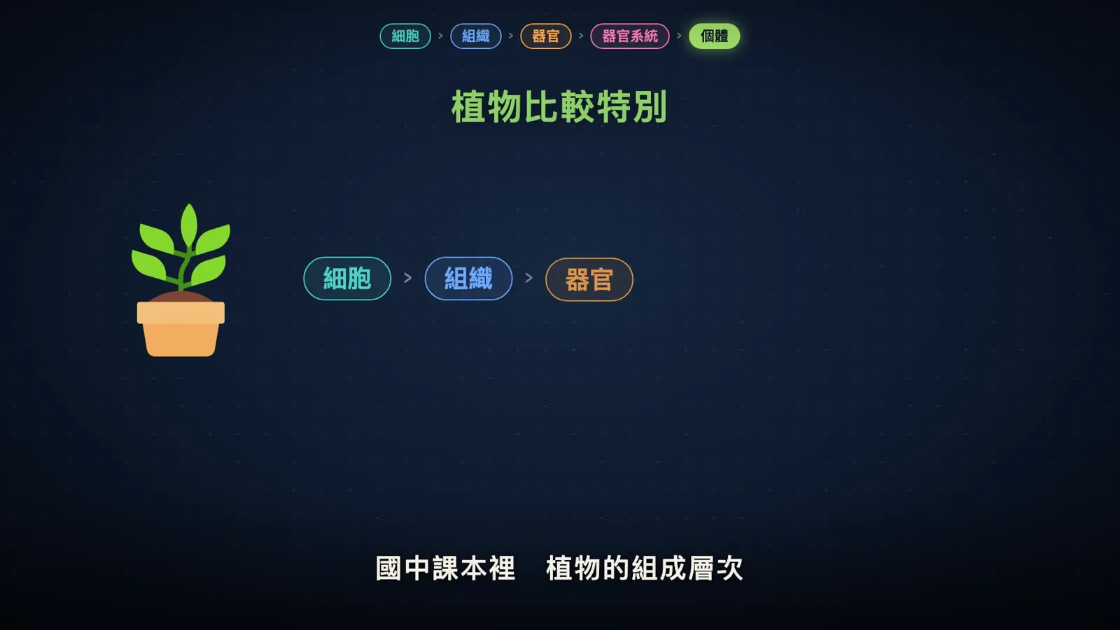 細胞、組織、器官差在哪？蛋黃、豬血、雞胗一次分清楚