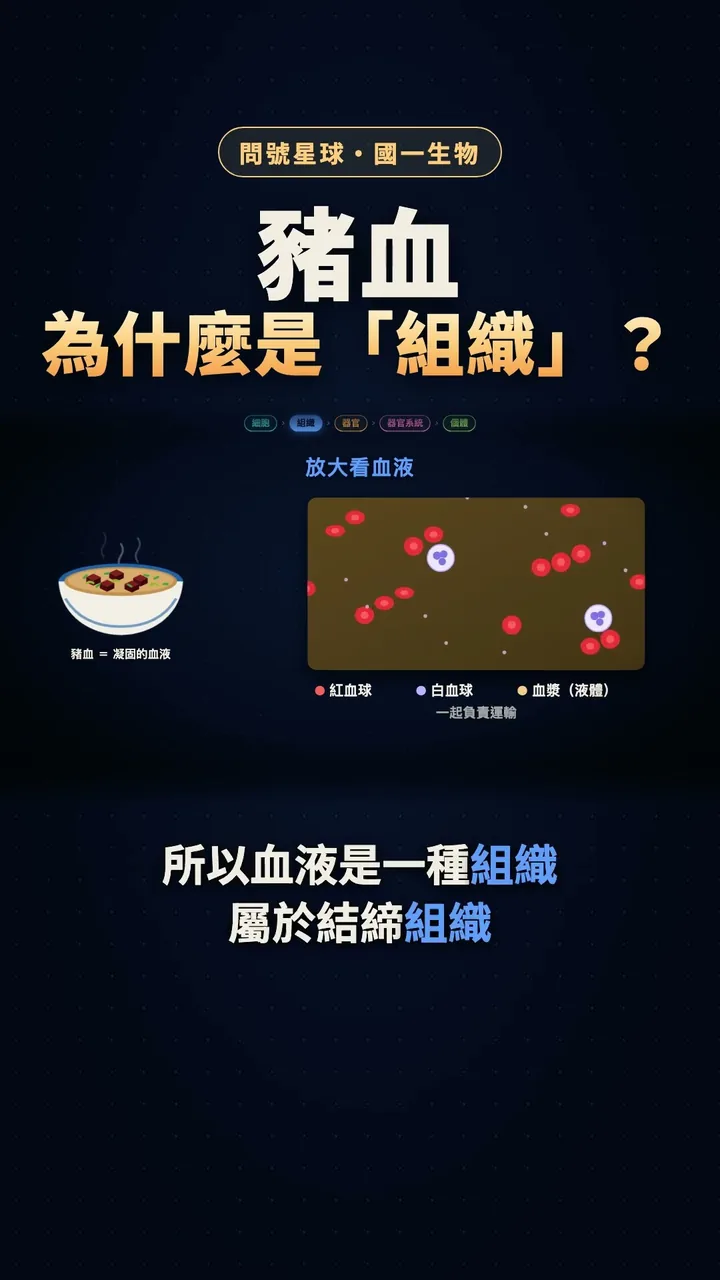 豬血為什麼是「組織」？